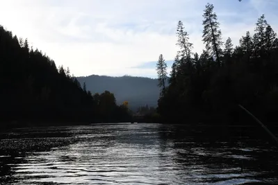 DSC_0299 (Large).JPG